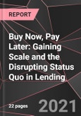 Buy Now, Pay Later: Gaining Scale and the Disrupting Status Quo in Lending- Product Image