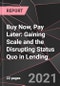 Buy Now, Pay Later: Gaining Scale and the Disrupting Status Quo in Lending - Product Thumbnail Image