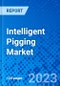 Intelligent Pigging Market, by Technology, by End-use Industry, by Region - Size, Share, Outlook, and Opportunity Analysis, 2022-2030 - Product Image
