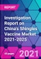 Investigation Report on China's Shingles Vaccine Market 2021-2025 - Product Image