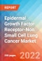 Epidermal Growth Factor Receptor-Non Small Cell Lung Cancer (EGFR-NSCLC) - Market Insight, Epidemiology and Market Forecast -2032 - Product Image