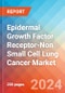 Epidermal Growth Factor Receptor-Non Small Cell Lung Cancer (EGFR-NSCLC) - Market Insight, Epidemiology and Market Forecast - 2034 - Product Image