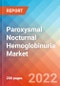 Paroxysmal Nocturnal Hemoglobinuria - Market Insight, Epidemiology and Market Forecast -2032 - Product Image