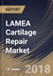 LAMEA Cartilage Repair Market Analysis (2018-2024) - Product Thumbnail Image