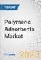 Polymeric Adsorbents Market by Type (Aromatic (Crosslinked Polystyrenic Matrix), Modified Aromatic (Brominated Aromatic Matrix), Methacrylic (Methacrylic Ester Copolymer), and Phenol Formaldehyde), End-Use Industry, and Region - Global Forecast to 2028 - Product Image
