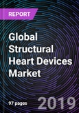 Global Structural Heart Devices Market Forecast up to 2024- Product Image