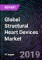 Global Structural Heart Devices Market Forecast up to 2024 - Product Thumbnail Image