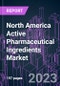North America Active Pharmaceutical Ingredients Market 2022-2032 by Molecule, Synthesis, Manufacturing Process, Therapeutic Application, Drug Type, and Country: Trend Forecast and Growth Opportunity - Product Image