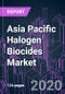 Asia Pacific Halogen Biocides Market 2020-2030 by Product Type (Chlorine Based, Bromine Based, Iodine Based), Application, and Country: Trend Forecast and Growth Opportunity - Product Thumbnail Image