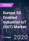 Europe 5G Enabled Industrial IoT (IIoT) Market 2020-2030 by Offering, Application, Industry Vertical, and Country: Trend Forecast and Growth Opportunity - Product Thumbnail Image