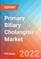Primary Biliary Cholangitis - Market Insight, Epidemiology and Market Forecast -2032 - Product Image