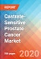 Castrate-Sensitive Prostate Cancer (CSPC)- Market Insights, Epidemiology and Market Forecast - 2030 - Product Thumbnail Image