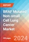 BRAF Mutated Non-small Cell Lung Cancer (NSCLC) - Market Insight, Epidemiology and Market Forecast -2032 - Product Image