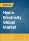 Hydro Electricity Global Market Report 2021: COVID-19 Impact and Recovery to 2030 - Product Thumbnail Image
