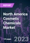 North America Cosmetic Chemicals Market 2022-2030 by Product Type, Chemical Type, Source, Application, Distribution Channel, and Country: Trend Forecast and Growth Opportunity - Product Thumbnail Image