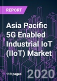 Asia Pacific 5G Enabled Industrial IoT (IIoT) Market 2020-2030 by Offering, Application, Industry Vertical, and Country: Trend Forecast and Growth Opportunity- Product Image