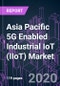 Asia Pacific 5G Enabled Industrial IoT (IIoT) Market 2020-2030 by Offering, Application, Industry Vertical, and Country: Trend Forecast and Growth Opportunity - Product Thumbnail Image