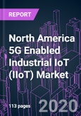 North America 5G Enabled Industrial IoT (IIoT) Market 2020-2030 by Offering, Application, Industry Vertical, and Country: Trend Forecast and Growth Opportunity- Product Image