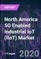 North America 5G Enabled Industrial IoT (IIoT) Market 2020-2030 by Offering, Application, Industry Vertical, and Country: Trend Forecast and Growth Opportunity - Product Thumbnail Image