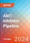 Akt1 Inhibitor - Pipeline Insight, 2022 - Product Thumbnail Image
