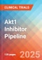 Akt1 Inhibitor - Pipeline Insight, 2024 - Product Thumbnail Image