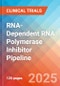 RNA-Dependent RNA Polymerase (RdRP or RNA Replicase) Inhibitor - Pipeline Insight, 2024 - Product Image