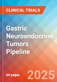 Gastric Neuroendocrine Tumors - Pipeline Insight, 2024- Product Image