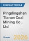 Pingdingshan Tianan Coal Mining Co., Ltd. Fundamental Company Report Including Financial, SWOT, Competitors and Industry Analysis - Product Thumbnail Image