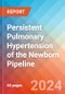 Persistent Pulmonary Hypertension of the Newborn - Pipeline Insight, 2024 - Product Thumbnail Image