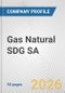 Gas Natural SDG SA Fundamental Company Report Including Financial, SWOT, Competitors and Industry Analysis - Product Thumbnail Image