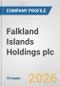 Falkland Islands Holdings plc Fundamental Company Report Including Financial, SWOT, Competitors and Industry Analysis - Product Thumbnail Image