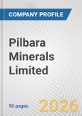 Pilbara Minerals Limited Fundamental Company Report Including Financial, SWOT, Competitors and Industry Analysis- Product Image