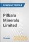 Pilbara Minerals Limited Fundamental Company Report Including Financial, SWOT, Competitors and Industry Analysis - Product Thumbnail Image