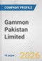 Gammon Pakistan Limited Fundamental Company Report Including Financial, SWOT, Competitors and Industry Analysis - Product Thumbnail Image