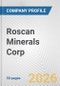 Roscan Minerals Corp. Fundamental Company Report Including Financial, SWOT, Competitors and Industry Analysis - Product Thumbnail Image