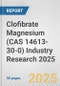 Clofibrate Magnesium (CAS 14613-30-0) Industry Research 2025: Global and Regional Market Trends 2019-2024 and Forecast to 2029 - Product Thumbnail Image