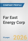 Far East Energy Corp. Fundamental Company Report Including Financial, SWOT, Competitors and Industry Analysis- Product Image