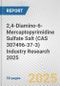 2,4-Diamino-6-Mercaptopyrimidine Sulfate Salt (CAS 307496-37-3) Industry Research 2025: Global and Regional Market Trends 2019-2024 and Forecast to 2029 - Product Thumbnail Image