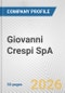 Giovanni Crespi SpA Fundamental Company Report Including Financial, SWOT, Competitors and Industry Analysis - Product Thumbnail Image