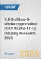 2,4-Dichloro-6-Methoxypyrimidine (CAS 43212-41-5) Industry Research 2025: Global and Regional Market Trends 2019-2024 and Forecast to 2029 - Product Image