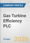 Gas Turbine Efficiency PLC Fundamental Company Report Including Financial, SWOT, Competitors and Industry Analysis - Product Thumbnail Image