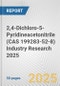 2,4-Dichloro-5-Pyridineacetonitrile (CAS 199283-52-8) Industry Research 2025: Global and Regional Market Trends 2019-2024 and Forecast to 2029 - Product Thumbnail Image