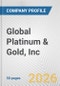 Global Platinum & Gold, Inc. Fundamental Company Report Including Financial, SWOT, Competitors and Industry Analysis - Product Thumbnail Image