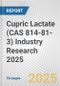 Cupric Lactate (CAS 814-81-3) Industry Research 2025: Global and Regional Market Trends 2019-2024 and Forecast to 2029 - Product Image