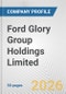 Ford Glory Group Holdings Limited Fundamental Company Report Including Financial, SWOT, Competitors and Industry Analysis - Product Thumbnail Image