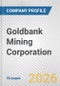 Goldbank Mining Corporation Fundamental Company Report Including Financial, SWOT, Competitors and Industry Analysis - Product Thumbnail Image