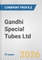 Gandhi Special Tubes Ltd. Fundamental Company Report Including Financial, SWOT, Competitors and Industry Analysis - Product Thumbnail Image