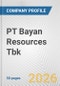 PT Bayan Resources Tbk Fundamental Company Report Including Financial, SWOT, Competitors and Industry Analysis - Product Thumbnail Image