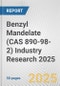 Benzyl Mandelate (CAS 890-98-2) Industry Research 2025: Global and Regional Market Trends 2019-2024 and Forecast to 2029 - Product Image