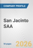 San Jacinto SAA Fundamental Company Report Including Financial, SWOT, Competitors and Industry Analysis- Product Image